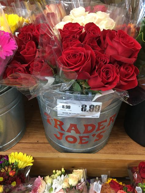 trader joe's flowers and plants